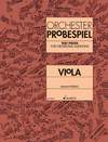 Orchester Probespiel (vla)