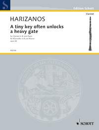 A tiny key often unlocks a heavy gate op 64 (cl,pf)